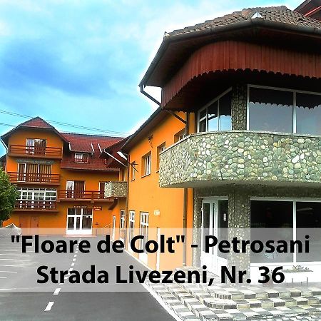 Floare De Colt Petrosani Hotel Екстериор снимка