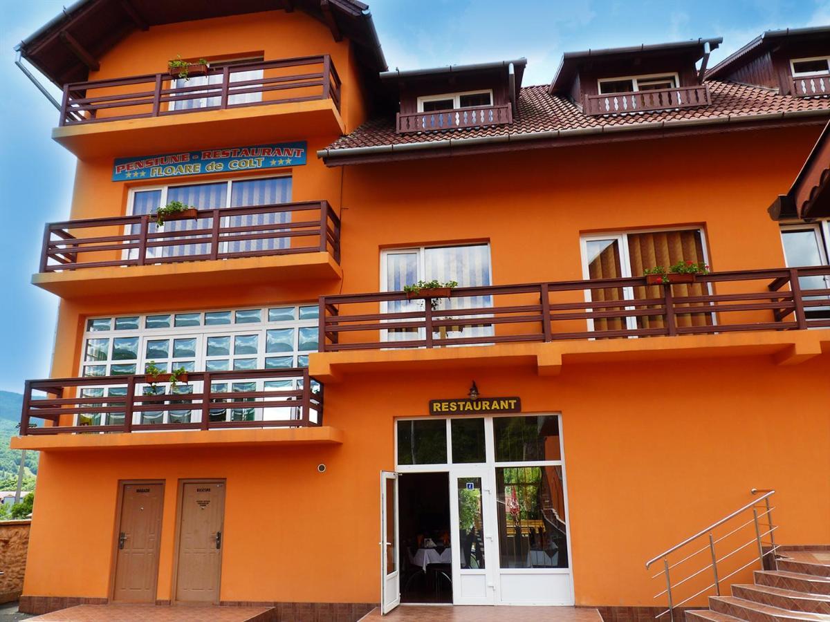Floare De Colt Petrosani Hotel Екстериор снимка