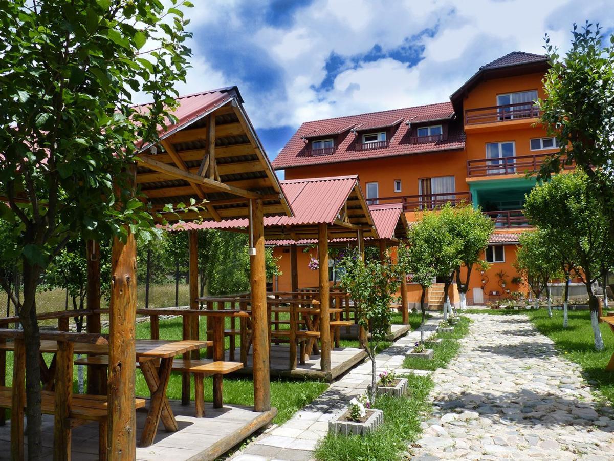 Floare De Colt Petrosani Hotel Екстериор снимка