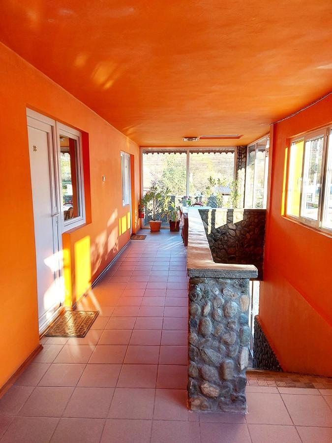 Floare De Colt Petrosani Hotel Екстериор снимка