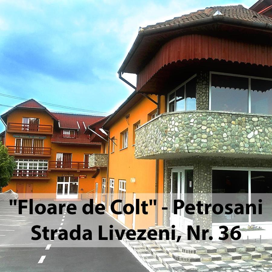 Floare De Colt Petrosani Hotel Екстериор снимка