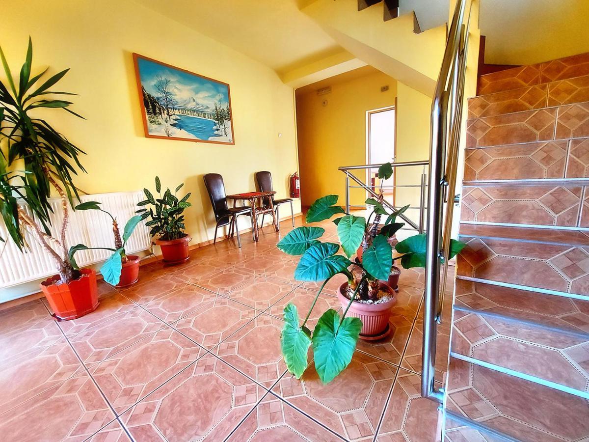 Floare De Colt Petrosani Hotel Екстериор снимка